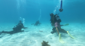 石垣島海洋研修①